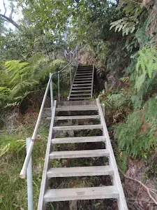 Stairs on Lyrebird Dell Track