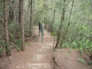 Looking down the to the Great North Walk