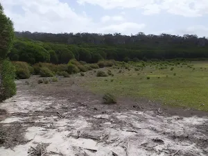 Bondi Lake