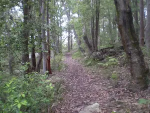 Along the alternate route