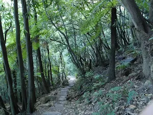National Pass at bottom of Grand Stairway