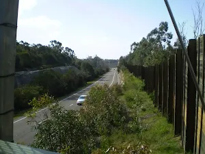 Crossing the freeway