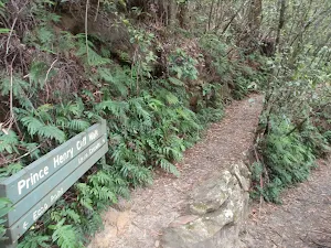 Following the Prince Henry Cliff Walk signs