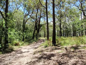 Int of Sid Pulsford walking trail and rest area trail