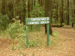 Sign to Turpentines camping area in the Watagans