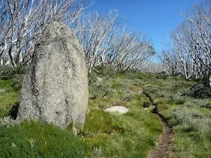Granite Tor among the snow gums