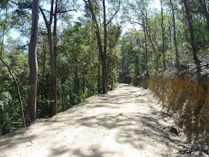 Sublime Point Trail west of Jamison Creek