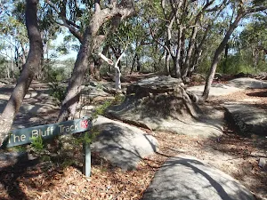 The Bluff track