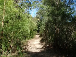 Track along Middle Harbour