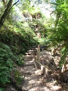 Climbing up to the Gordon Falls park