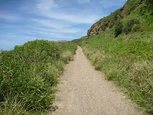 Uphill track near Spoons Rocks 