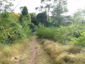 Grassy track to Lapstone Pl