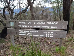 Sign at the end of Gladstone Rd