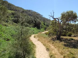 Sandy track