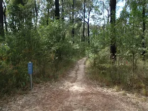 Glenbrook Woodford sign