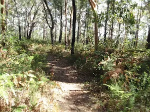 Track between tower and Nayari Lookout