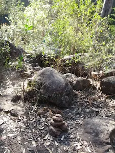 Cairns leading the way across the creek flats