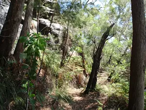 Warrimoo track