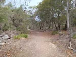 Track to Bournda Beach car park