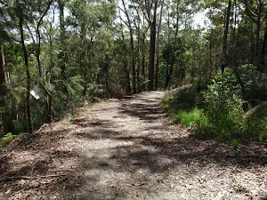 Management trail north east of Nyari Lookout