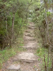 Fort Rock Track