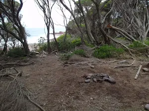 Clearing behind red platform bay