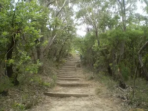 Stairs into Valley of the Waters from Conservation Hut