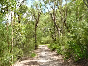 Walking along the wide trails near Koombalah Ave