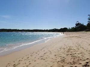 Walking along Jibbon Beach
