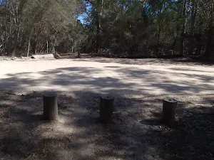 Logs mark the crossing of the main road