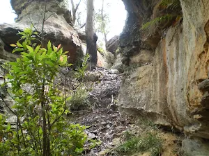 Climbing out of the Canyon