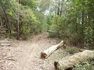 GNW meets the Bar Trail