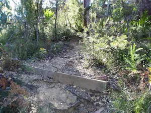 The track climbing to Mt Olive