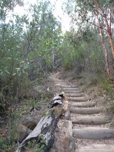 The Timbergetters Track