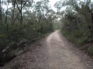 Along the management trail