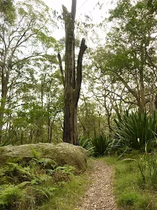 Mt Sugarloaf Red Track