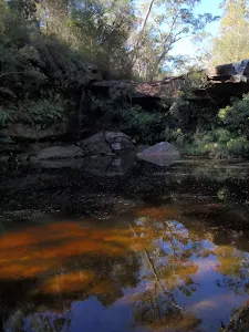 Jeannie's Pool