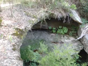 Looking over edge of the Natural Bridge