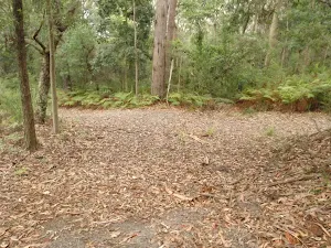 Looking to the Horse track from Graves Walk