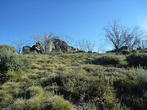 Looking up at Bobs Ridge from the south