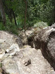 Track scrambing down the rock