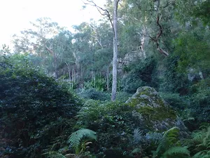 Beautiful scenery  along Finchs Line