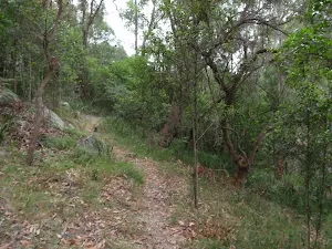 Looking back along the track