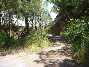 Track near the pedestrian over bridge on the Wallarah Pennisula