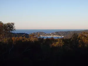 A glimpse of Pittwater from the Topham track