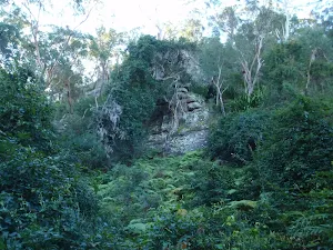 Rockface above the Finchs Line track