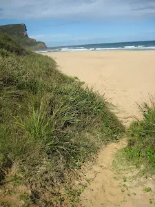 A track onto Garie Beach