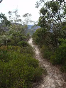 Just back from Copelands lookout