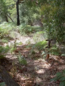 Track down to Mackerel Beach