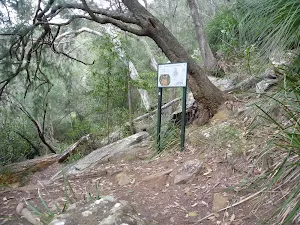 Sign on track beside Berowra Creek